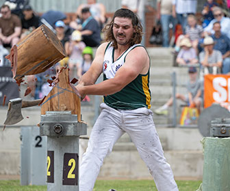 SRES 12 Reasons | Woodchop